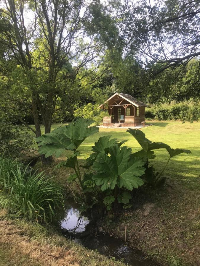 La Paix, Gite Bucolique En Normandie Conde-sur-Noireau Exterior photo